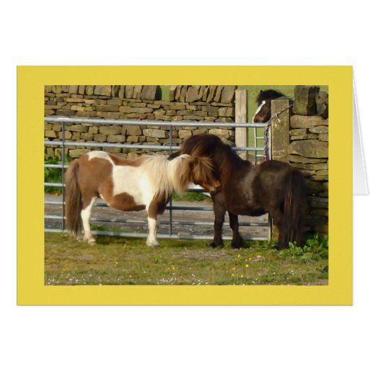 Shetland ponies card (Voorkant Horizontaal)