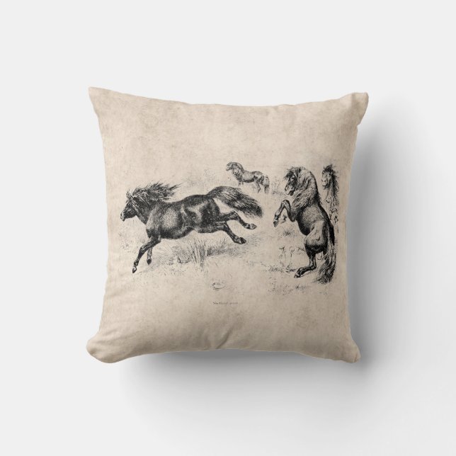  Shetland Ponies - Paarden en Pony van 1800 Kussen (Voorkant)