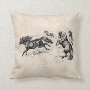 Shetland Ponies - Paarden en Pony van 1800 Kussen