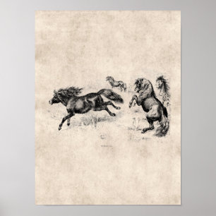 Shetland Ponies - Paarden en Pony van 1800 Poster
