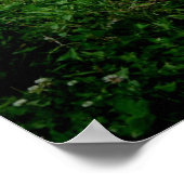 Shetland Pony 2 Poster (Hoek)