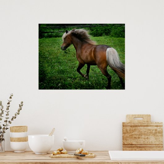 Shetland Pony 2 Poster (Keuken)
