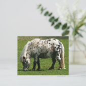 Shetland Pony Briefkaart (Staand voorkant)