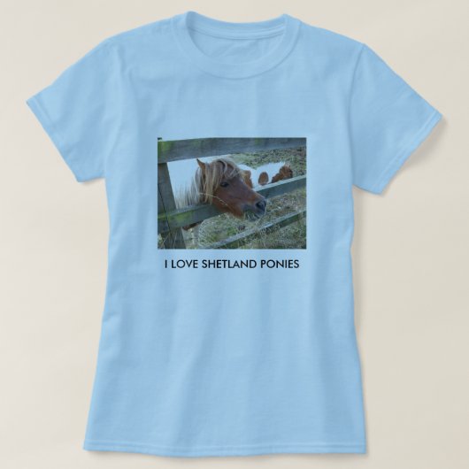 Shetland Pony Dames Baby Doll T-Shirt (Design voorkant)