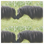 Shetland pony- en hengstenstof stof (Close Up)
