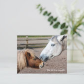 Shetland Pony en Highland Pony Briefkaart (Staand voorkant)