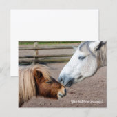 Shetland Pony en Highland Pony Briefkaart (Voorkant / Achterkant)