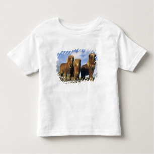 Shetland Pony, het vasteland van de Shetlandeiland Kinder Shirts