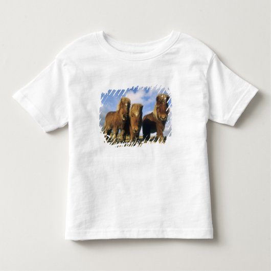 Shetland Pony, het vasteland van de Shetlandeiland Kinder Shirts (Voorkant)