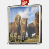 Shetland Pony, het vasteland van de Shetlandeiland Metalen Ornament (Links)