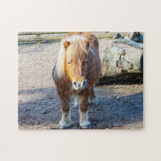 Shetland Pony Jigsaw puzzle Legpuzzel (Horizontaal)