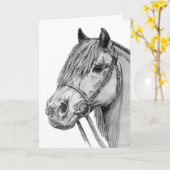 Shetland Pony Kaart (Gele Bloem)