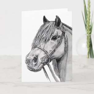Shetland Pony Kaart