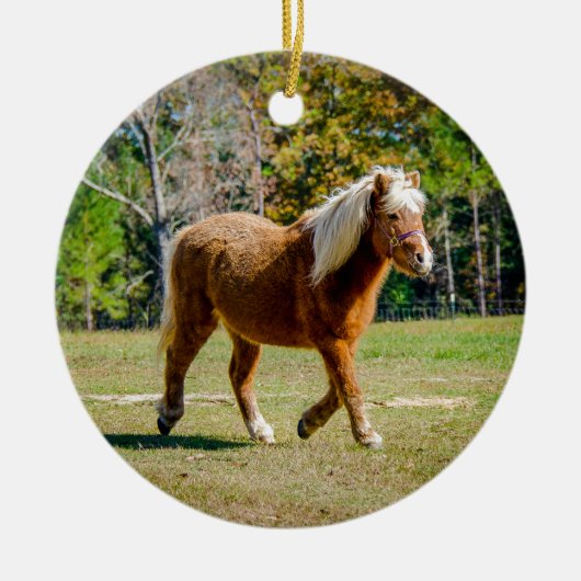  Shetland Pony Keramisch Ornament (Voorkant)