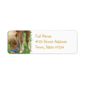 Shetland Pony Mailing Label (Voorkant)