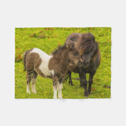 Shetland Pony moeder en nakomelingen Fleece Deken (Voorkant (Horizontaal))