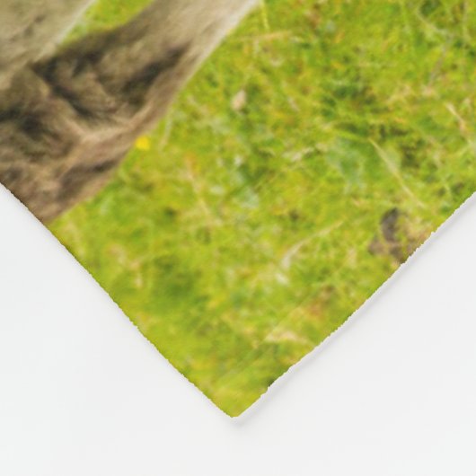 Shetland Pony moeder en nakomelingen Fleece Deken (Hoek)