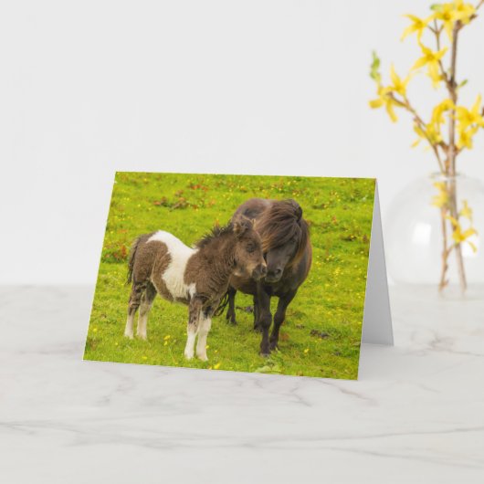 Shetland Pony moeder en nakomelingen Kaart (Gele Bloem)