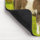 Shetland Pony moeder en nakomelingen Muismat (Hoek)