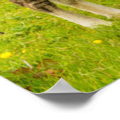 Shetland Pony moeder en nakomelingen Poster (Hoek)