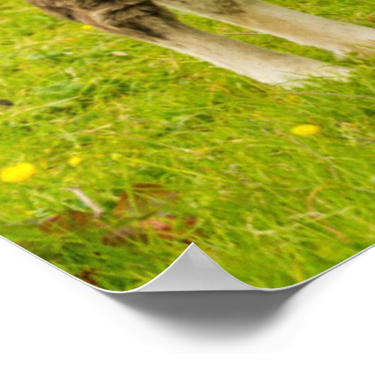 Shetland Pony moeder en nakomelingen Poster (Hoek)