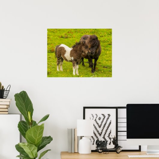 Shetland Pony moeder en nakomelingen Poster (Thuiskantoor)