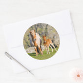 Shetland Pony On Pasture Near High Cliffs, Mare 2 Ronde Sticker (Envelop)