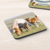 Shetland Pony On Pasture Near High Cliffs, Mare Drankjes Onderzetter (Linkerzijde)