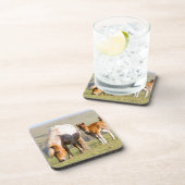 Shetland Pony On Pasture Near High Cliffs, Mare Drankjes Onderzetter (Rechterzijde)