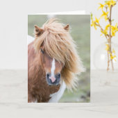 Shetland Pony op het eiland Unst Kaart (Gele Bloem)