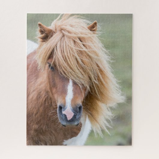 Shetland Pony op het eiland Unst Legpuzzel (Verticaal)
