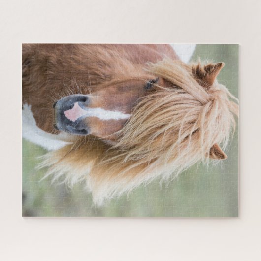 Shetland Pony op het eiland Unst Legpuzzel (Horizontaal)