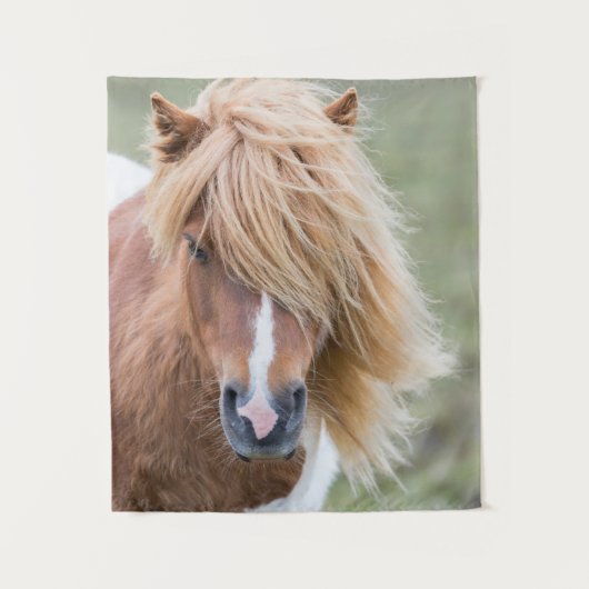 Shetland Pony op het eiland Unst Wandkleed (Voorkant)