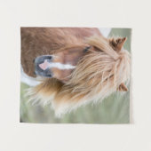 Shetland Pony op het eiland Unst Wandkleed (Voorkant (horizontaal))
