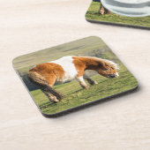 Shetland Pony op pasta nabij hoge cliënten Bier Onderzetter (Linkerzijde)