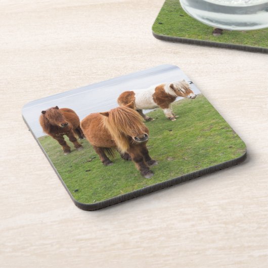 Shetland Pony op pasta nabij hoge cliënten Bier Onderzetter (Linkerzijde)