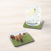 Shetland Pony op pasta nabij hoge cliënten Bier Onderzetter (Rechterzijde)