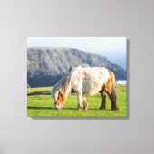 Shetland Pony op pasta nabij hoge cliënten Canvas Afdruk (Voorkant)