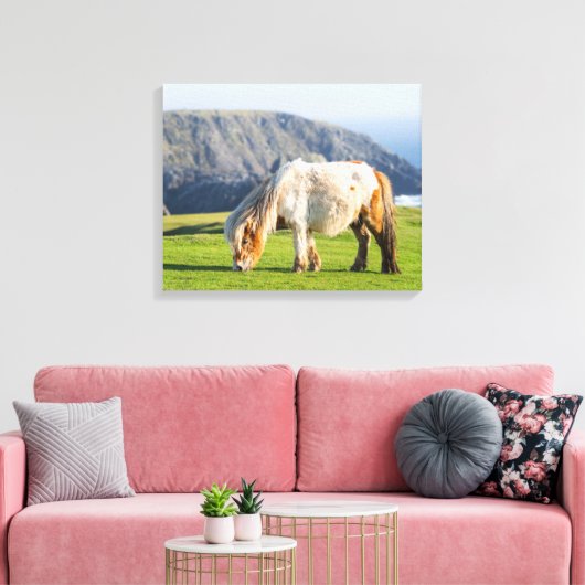 Shetland Pony op pasta nabij hoge cliënten Canvas Afdruk (Insitu (Woonkamer))