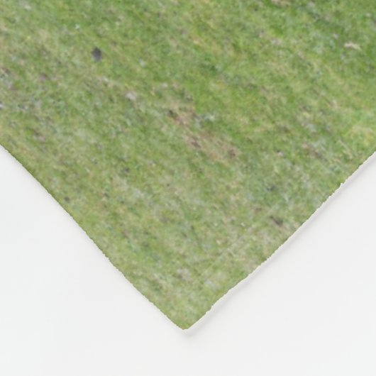 Shetland Pony op pasta nabij hoge cliënten Fleece Deken (Hoek)