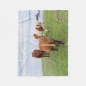 Shetland Pony op pasta nabij hoge cliënten Fleece Deken (Voorkant)