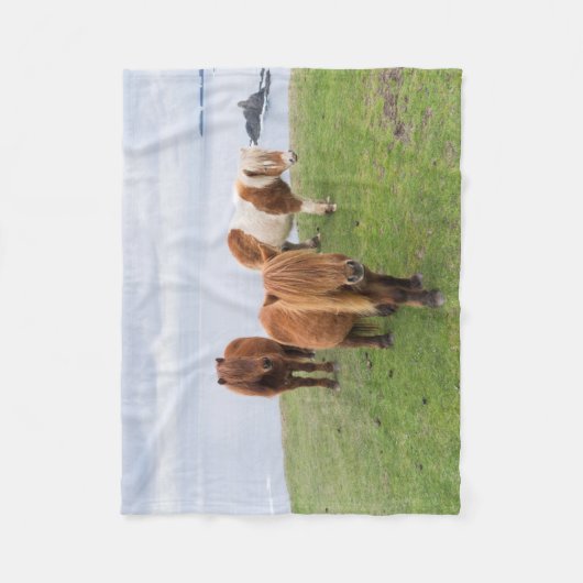 Shetland Pony op pasta nabij hoge cliënten Fleece Deken (Voorkant)