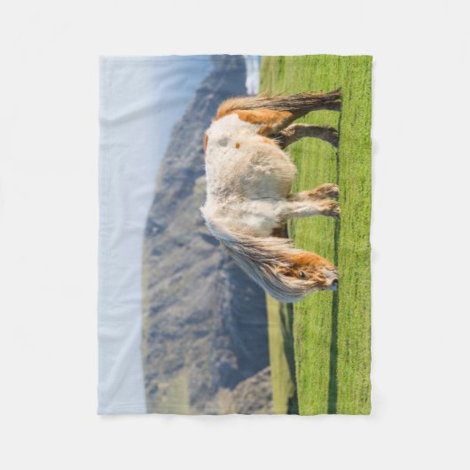 Shetland Pony op pasta nabij hoge cliënten Fleece Deken (Voorkant)