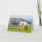 Shetland Pony op pasta nabij hoge cliënten Kaart (Voorkant)