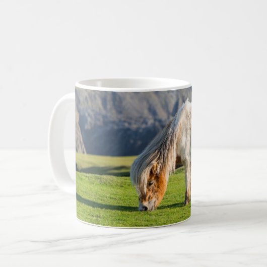 Shetland Pony op pasta nabij hoge cliënten Koffiemok (Voorkant links)