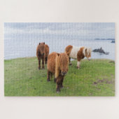 Shetland Pony op pasta nabij hoge cliënten Legpuzzel (Horizontaal)