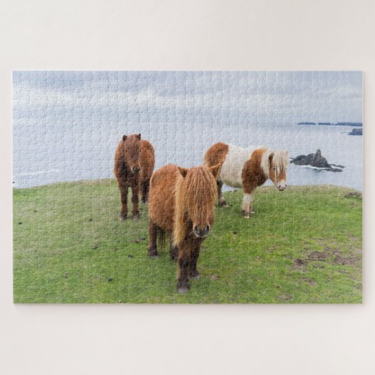Shetland Pony op pasta nabij hoge cliënten Legpuzzel (Horizontaal)
