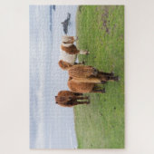 Shetland Pony op pasta nabij hoge cliënten Legpuzzel (Verticaal)
