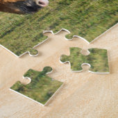 Shetland Pony op pasta nabij hoge cliënten Legpuzzel (Zijkant)