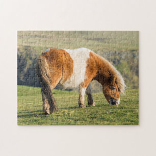 Shetland Pony op pasta nabij hoge cliënten Legpuzzel
